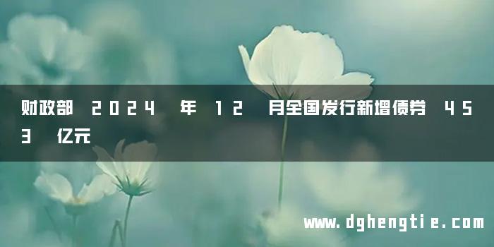 财政部 2024 年 12 月全国发行新增债券 453 亿元